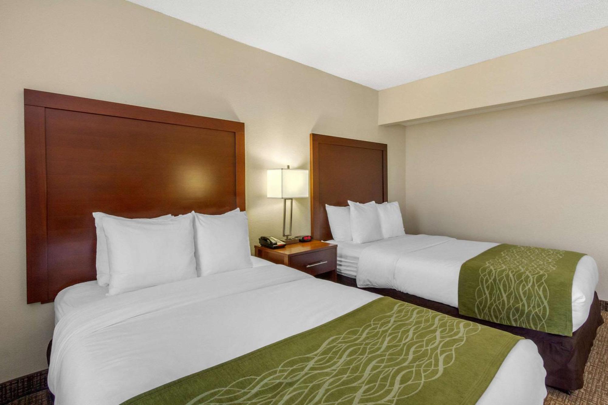 Comfort Inn St Petersburg North Dış mekan fotoğraf