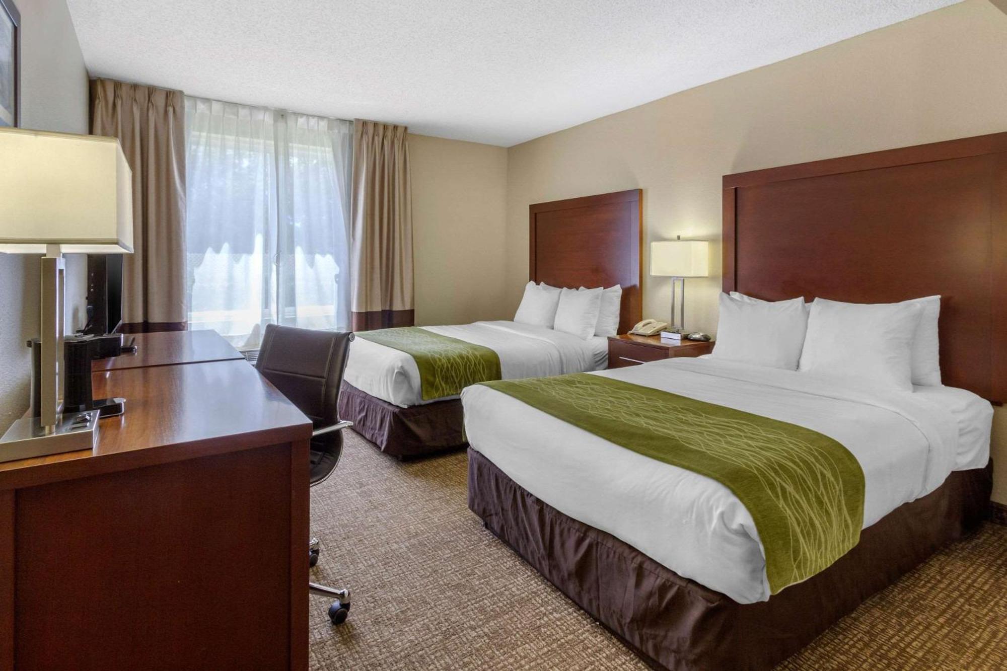 Comfort Inn St Petersburg North Dış mekan fotoğraf