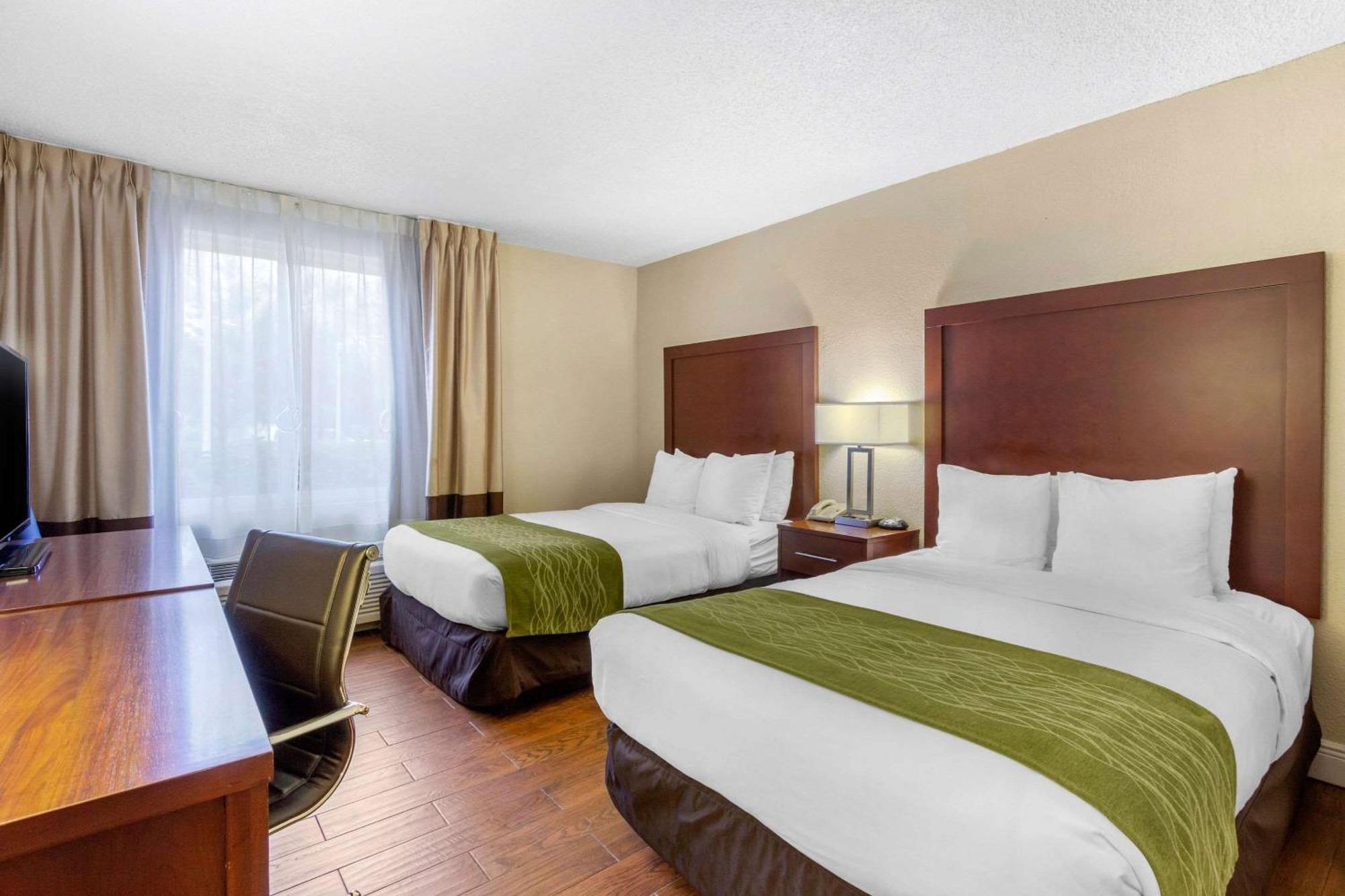 Comfort Inn St Petersburg North Dış mekan fotoğraf